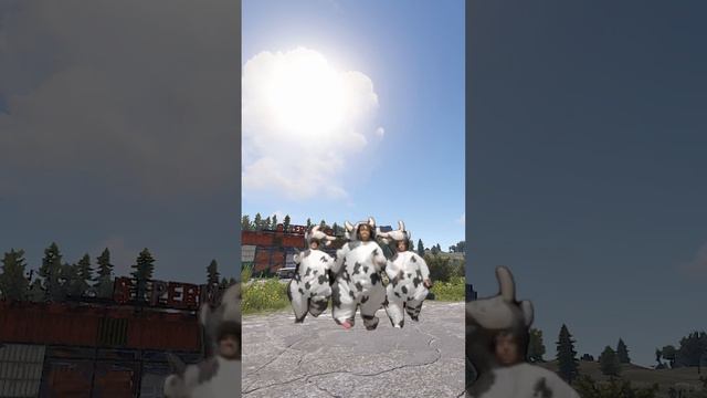 Cow Moo Flage 🐄 RUST / РАСТ