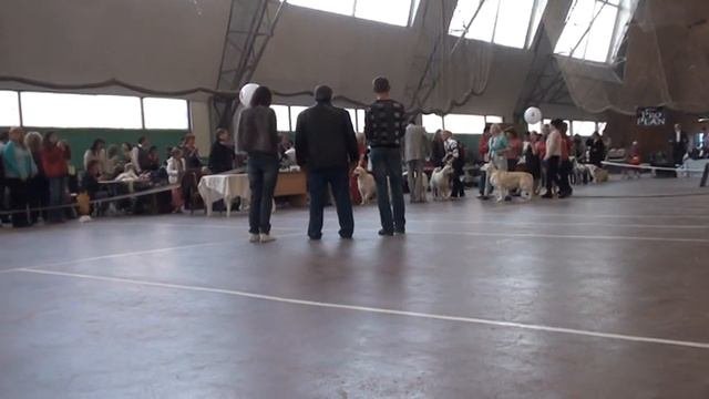 Выставка Канис CACIB октябрь2012.mpg