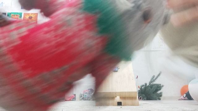 VID_20231105_144402.mp4