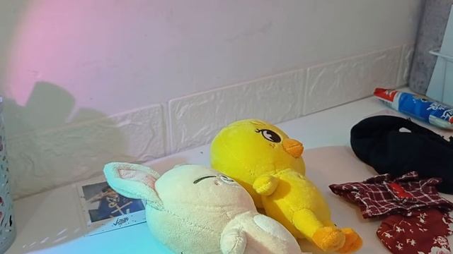 INA STAY VLOG : UNBOXING AND DRESSING UP SKZOO BBOKARI AND FOXLNY  FINALLY SKZOO OT8