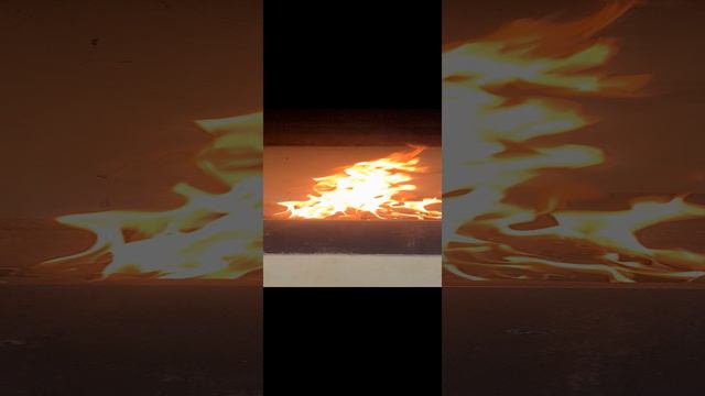 1000065747.mp4