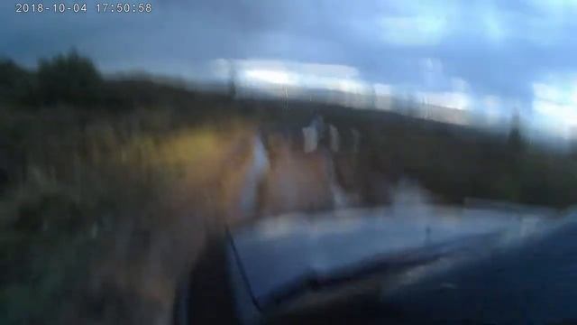 Артёмовские луга 04 10 18
