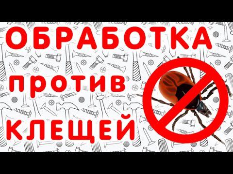 Обработка участка от клещей