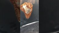 Килограмм шпатлёвки