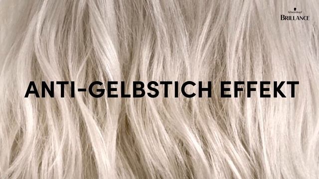 Schwarzkopf, Brillance, Haar Glossing Launch 2022, CoolBlonde