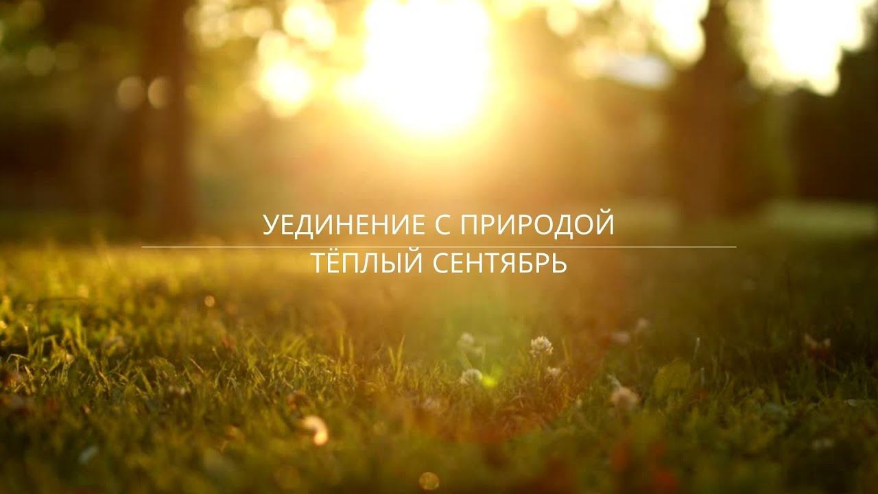 Уединение с природой. Тёплый сентябрь. Семейный ужин по книге рецептов Гарри Поттера.
