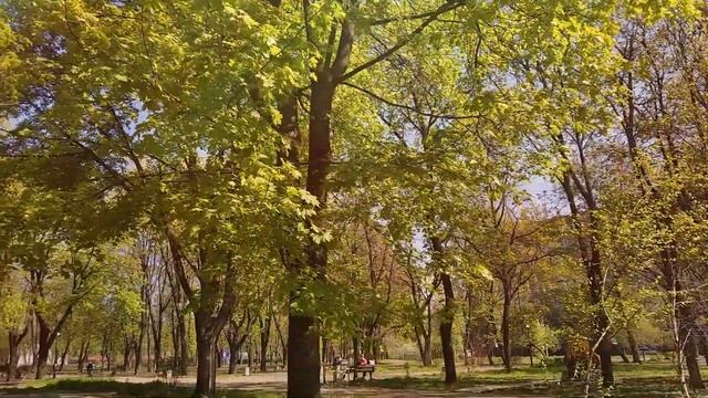 Целительные звуки природы