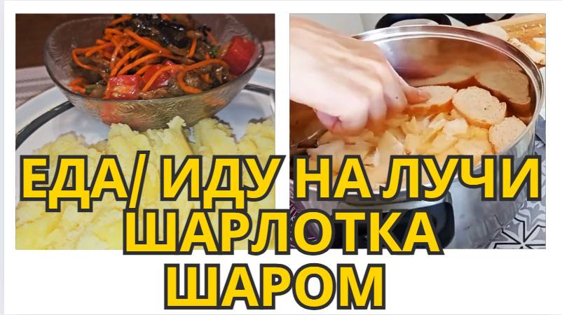 СЮЖЕТЫ С РАЗНЫХ ДНЕЙ/ БАКЛАЖАН/ ПОКУПКА/ БЕСЕДА ПО ДОРОГЕ/ ШАРЛОТКА ШАРОВАЯ