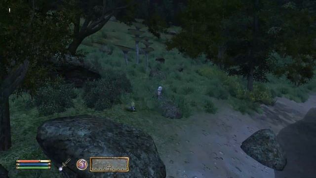 TES 4 Oblivion моды 