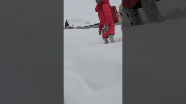 Вот такая зима в талалаевке