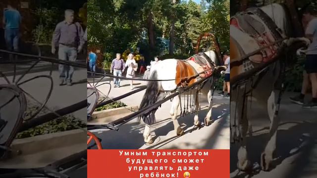 Умный транспорт будущего!.mp4