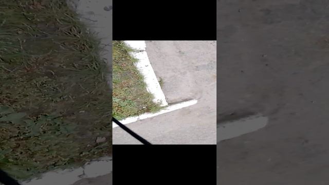Сергей делает сальто