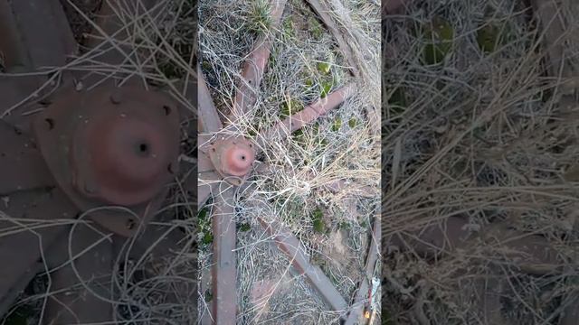 Степи заволжья