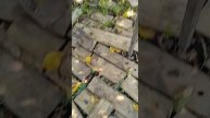 база моего друга