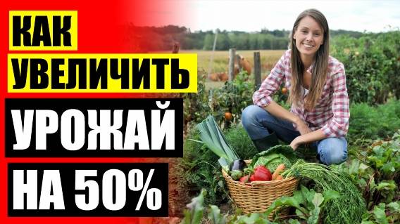 Как увеличить урожай подсолнуха 😎 Удобрение купить в Алматы