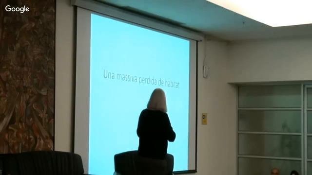 Habitat 3 Alternativo: Conferencia Saskia Sassen