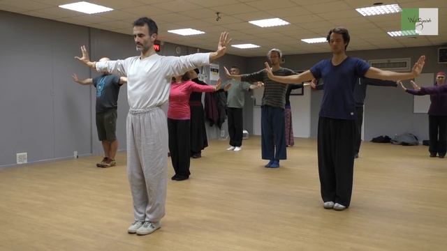 Zhi Neng Qi Gong 1