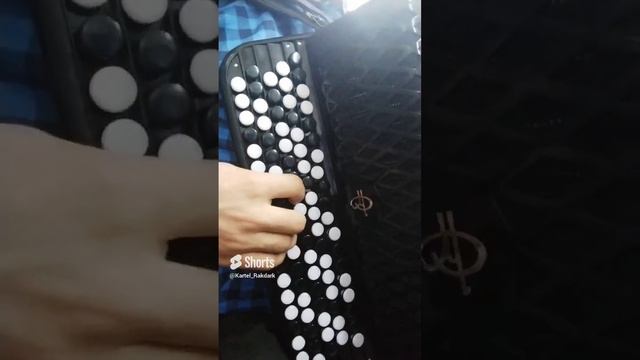 #shorts_video #shortsvideo #shortsyoutube #песни #песниподбаян #именинница