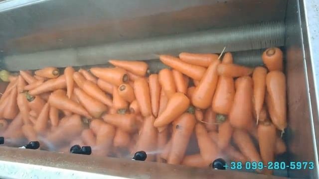 Щеточная чистка и мойка морковки от кожуры - под переработку на соки и салаты