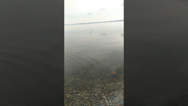 Ребёнок кидает камни в реку Днепр