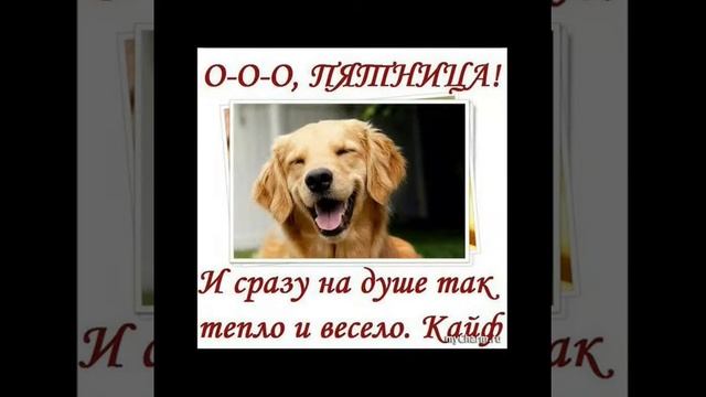 Ура пятница наступила!!