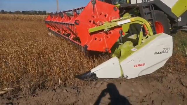 Новый Claas Trion 650 двигун Cummins 354 к.с.клавішний із системою обмолота APS