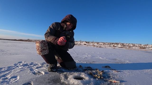 ПОПАЛ на БЕШЕННЫЙ КЛЁВ РЫБЫ, не УСПЕВАЮ ОПУСКАТЬ ПРИМАНКУ