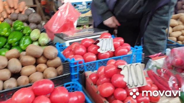 САМОИЗОЛЯЦИЯ И ПУСТЫЕ ПОЛКИ В МАГАЗИНЕ! Обзор земельных участков в Натухаевской.