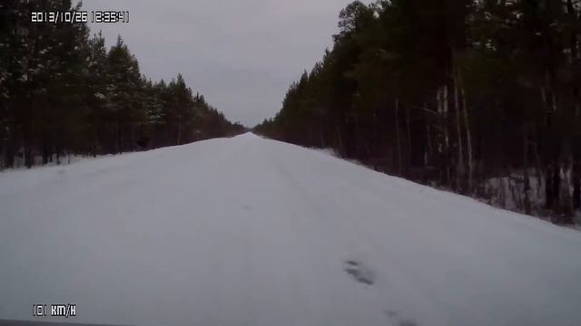 hirvi_столкновение с лосем_elk_crash