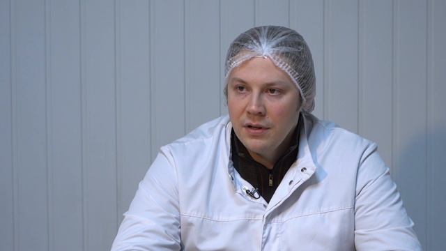 Стевия вместо сахара – идея бизнеса