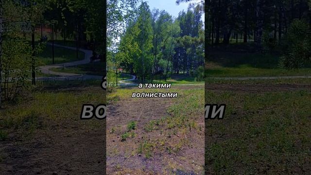Парк "Арена" в Новосибирске. Брокер по коммерческой недвижимости Никита Прейзнер.