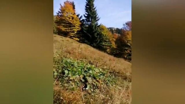 Дизайн человека. Канал Силы34-57. Дизайн Архетипа.