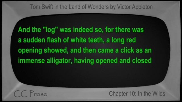 Chapter 10 - Tom Swift in the Land of Wonders by Victor Appleton