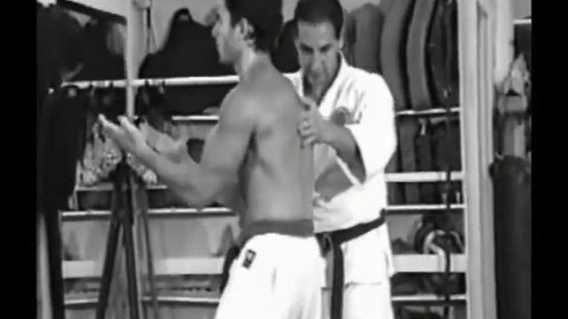 Okinawa Old Style Shorinjiryu Kenpo and Ryukyu Kobudo Kata and Bunkai
