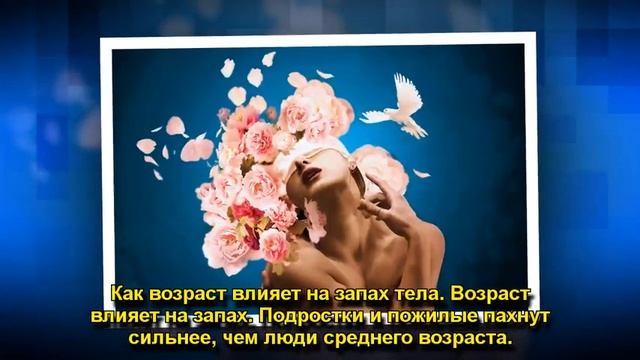 О ЧЕМ МОЖЕТ РАССКАЗАТЬ ЗАПАХ ЖЕНСКОГО ТЕЛА