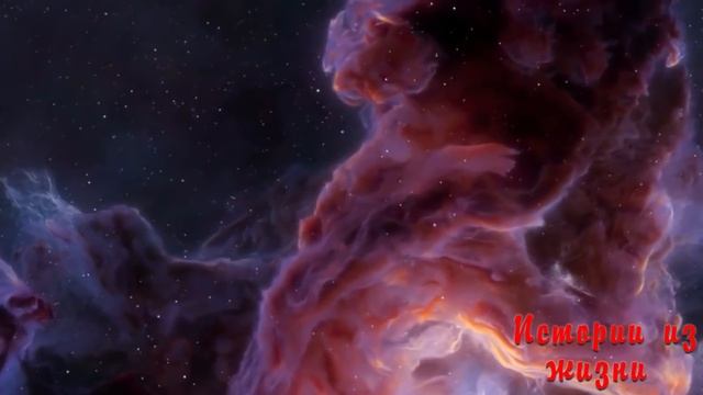 Тёща уговорила зятя на... История из жизни.