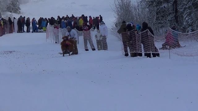 спуск на санях с г.Белая
