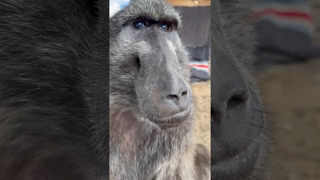 "Щас кофейку бахнем и на завод"