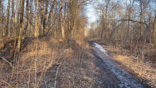 Уфа. АПРЕЛЬ иду за вербой 2023. Весна...Ufa. APRIL I go for willow 2023. Spring...