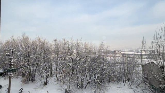 Попова 8а
