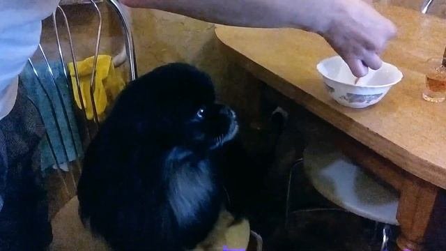 Проба маринованных помидорудачно