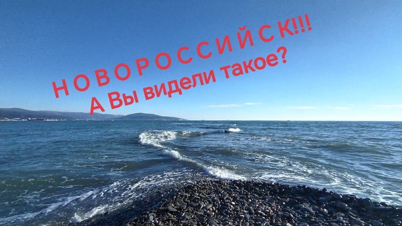 Новороссийск Вы видели такое?    17 января 2024 г.