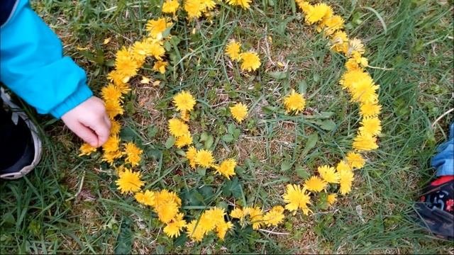 Одуванчики
