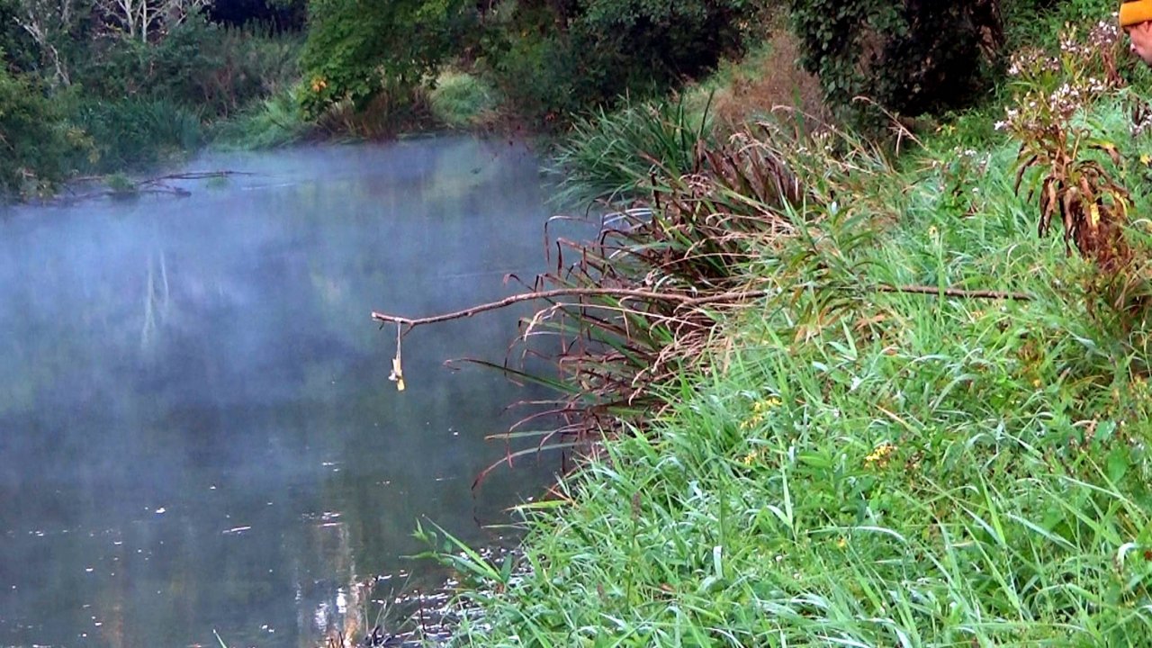 Рыбалка 7 сентября, как она есть, на щуку на орешниковые удочки