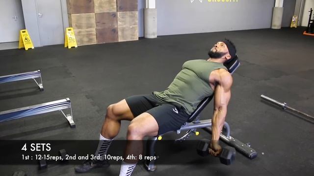 Grow your BICEPS & TRICEPS with just 2 gym Equipment | Full Workout Explained | My Top Tips