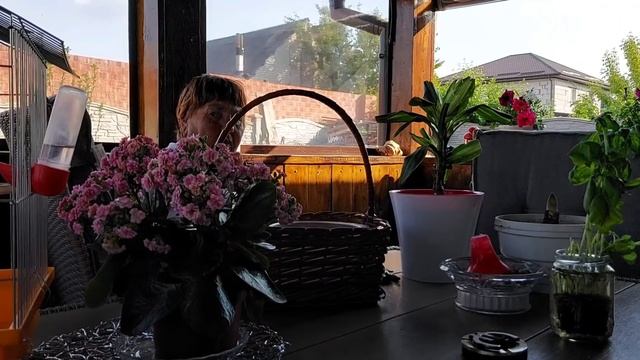 Бабушка наводит порядок на огороде