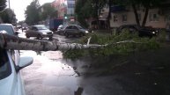 дерево упало на машину