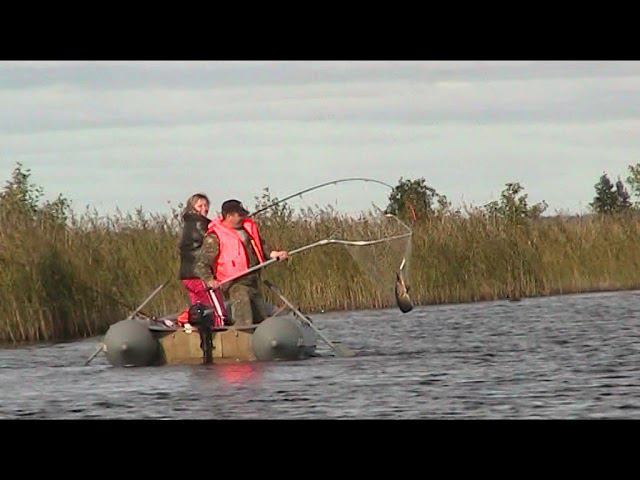 щука на  6 кг