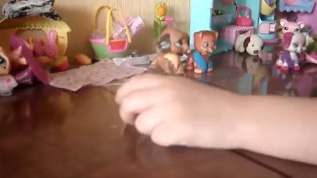 Аксессуары для пэтшопов - ноутбук для LPS