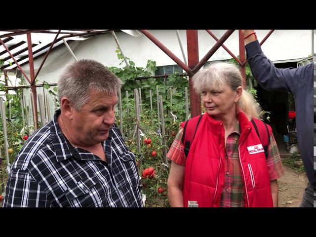 Виноградный Спас 05.09.2020. В гостях у Виталия Лычкова. Часть первая.